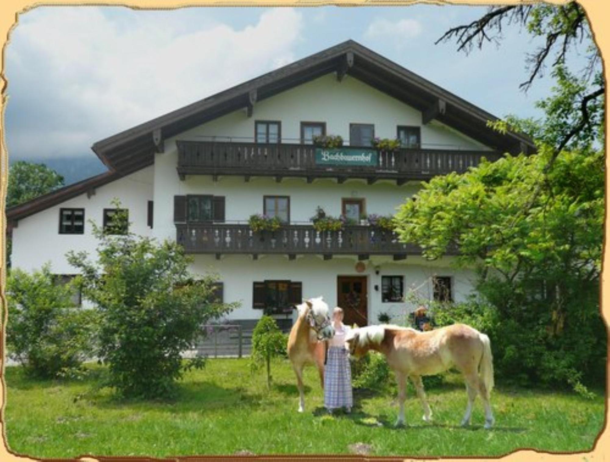 Bachbauernhof Apartment Bayerisch Gmain Ngoại thất bức ảnh
